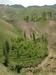 sadaf (611)_resize.jpg